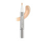 CONCEALER ACCORD PARFAIT