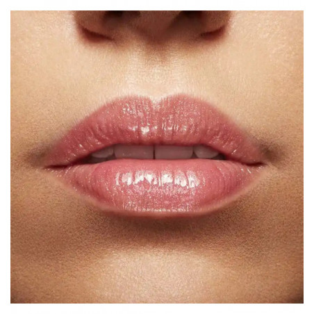 L'ABSOLU GLOSS SHEER