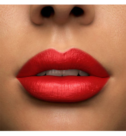 L'ABSOLU ROUGE CREAM المكياج