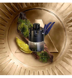 THE MOST WANTED EAU DE TOILETTE INTENSE Perfumes