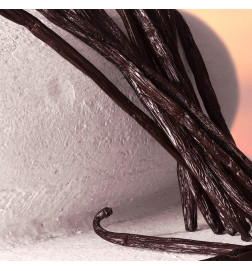 DOLCE&GABBANA DEVOTION EAU DE PARFUM INTENSE العطور