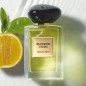 ARMANI PRIVE ORANGERIE VENISE