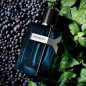 Y EAU DE PARFUM INTENSE Y EAU DE PARFUM INTENSE