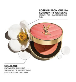 MAKE ME BLUSH POWDER BLUSH Makeup