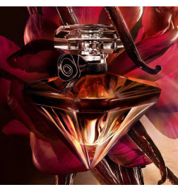 LA NUIT TRESOR VANILLE NOIRE العطور