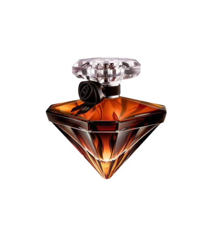 LA NUIT TRESOR VANILLE NOIRE