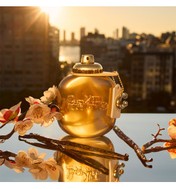 COACH GOLD PARFUM العطور