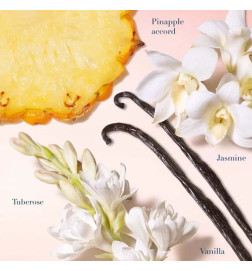 MY WAY SUNNY VANILLA Perfumes