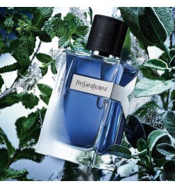 Y ICED COLOGN EAU DE TOILETTE INTENSE Perfumes