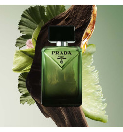 PARADIGME EAU DE PARFUM العطور