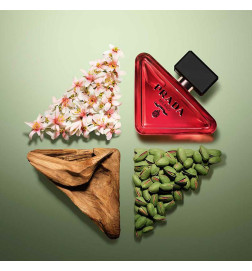 PARADOXE RADICAL ESSENCE العطور