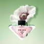 PARADOXE VIRTUAL FLOWER EAU DE PARFUM