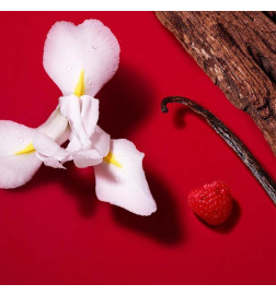 SI PASSIONE RED BLOOM العطور