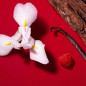 SI PASSIONE RED BLOOM SI PASSIONE RED BLOOM