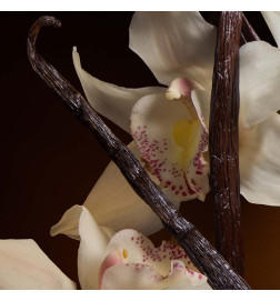 THE ONE EAU DE PARFUM INTENSE العطور