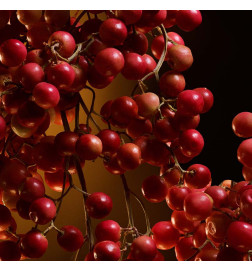 THE ONE EAU DE PARFUM INTENSE العطور