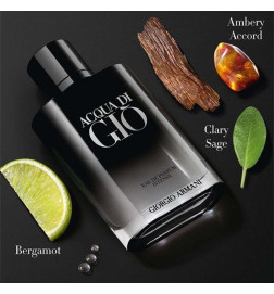 ACQUA DI GIO EAU DE PARFUM INTENSE Perfumes