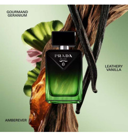 PARADIGME PARFUM العطور
