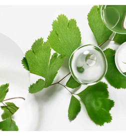 ECOLOGICAL COMPOUND ADVANCED FORMULA Skincare
