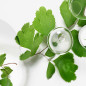ECOLOGICAL COMPOUND ADVANCED FORMULA