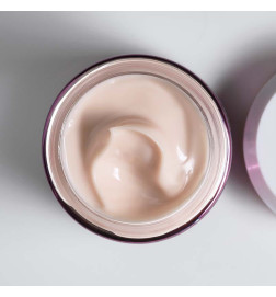BLACK ROSE SKIN INFUSION CREAM (JAR) العناية بالبشرة