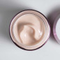 BLACK ROSE SKIN INFUSION CREAM (JAR)