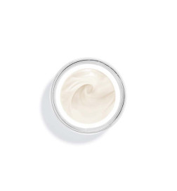 SISLEYA L'INTEGRAL ANTI AGE (JAR) Skincare