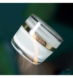 SISLEYA L'INTEGRAL ANTI AGE (JAR) Skincare