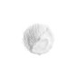 EXFOLIATING ENZYME MASK 40G