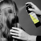 SPRAY FIXANT